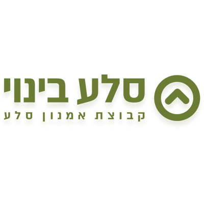 סלע בינוי